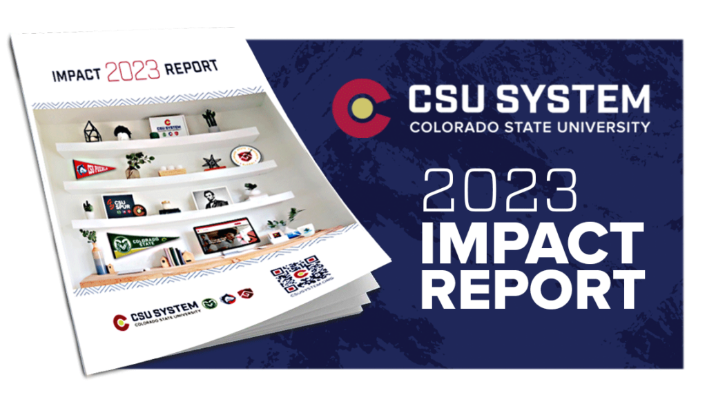 Graphic of the 2023 CSU System impact report.